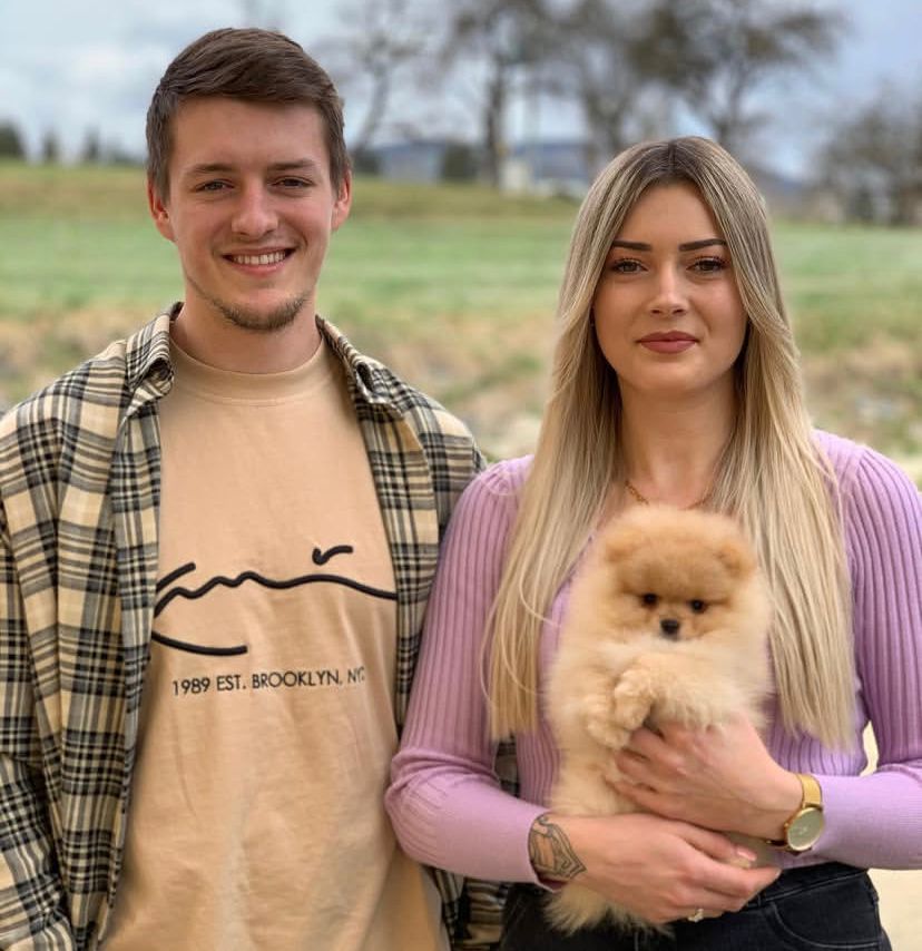pomeranian welpen kaufen